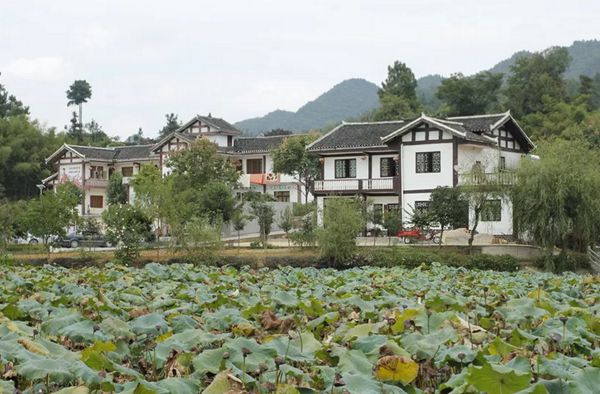 回歸鄉(xiāng)村，方知幸福 【輕鋼別墅】(圖7)