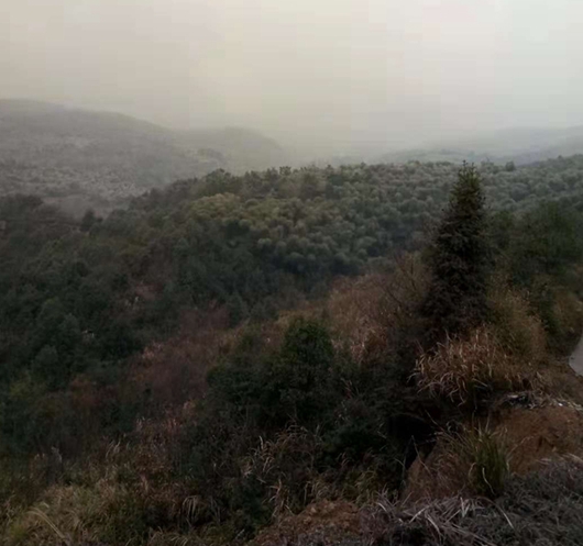 有故鄉(xiāng)者擁有幸福 ,你在他鄉(xiāng)還好嗎?(圖2) 有故鄉(xiāng)者擁有幸福 ,你在他鄉(xiāng)還好嗎?(圖2)