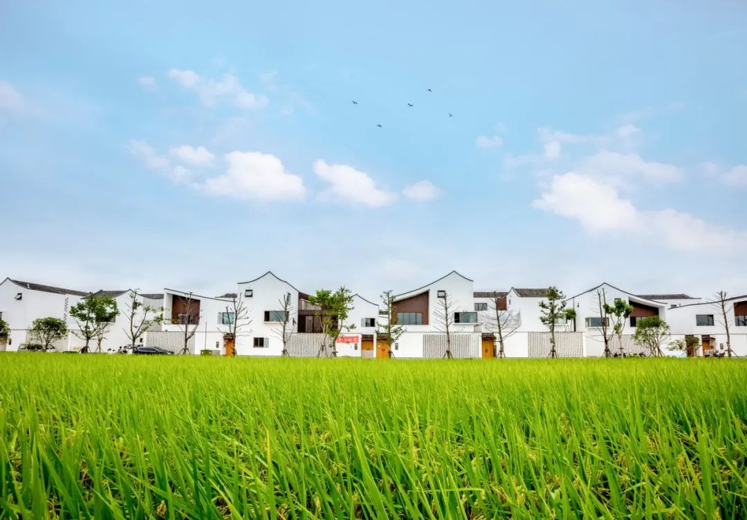 住建廳給你揭曉 裝配式農(nóng)房有哪些有點?(圖1) 睿婕輕鋼別墅